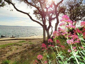Apartment (Apartment Vlahov) | Beach
