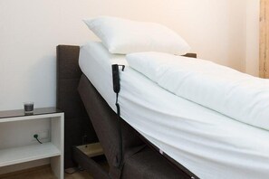 Apartment (Tabor Dream) | 1 Schlafzimmer