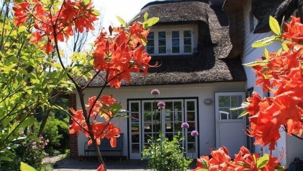 Exterior - Gröön Toflücht (Oldenswort)