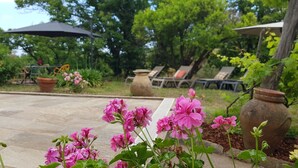 A garden with pink flowers, outdoor seating, and a tiled patio.