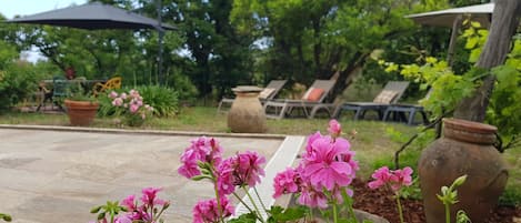 A garden with pink flowers, outdoor seating, and a tiled patio.