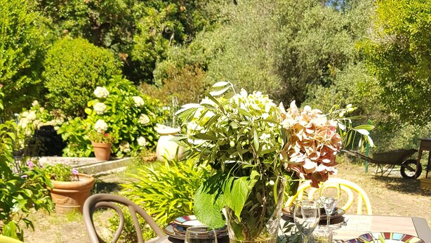 An outdoor dining table set with plates, glasses, and cutlery, surrounded by potted plants and a wheelbarrow.