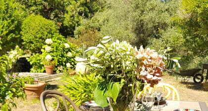 Independent villa with private garden in Cap Corse, between sea and forest