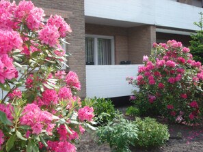Apartment (Ferienwohnung Höflich "Bäke") | Exterior - Ferienwohnung Höflich "bäke" (Bad Zwischenahn)