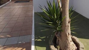Une cour avec un palmier, un petit jardin et un bâtiment doté d’une porte noire.
