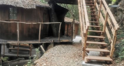 Chant de la nature + espace détente privatif + piscine en saison