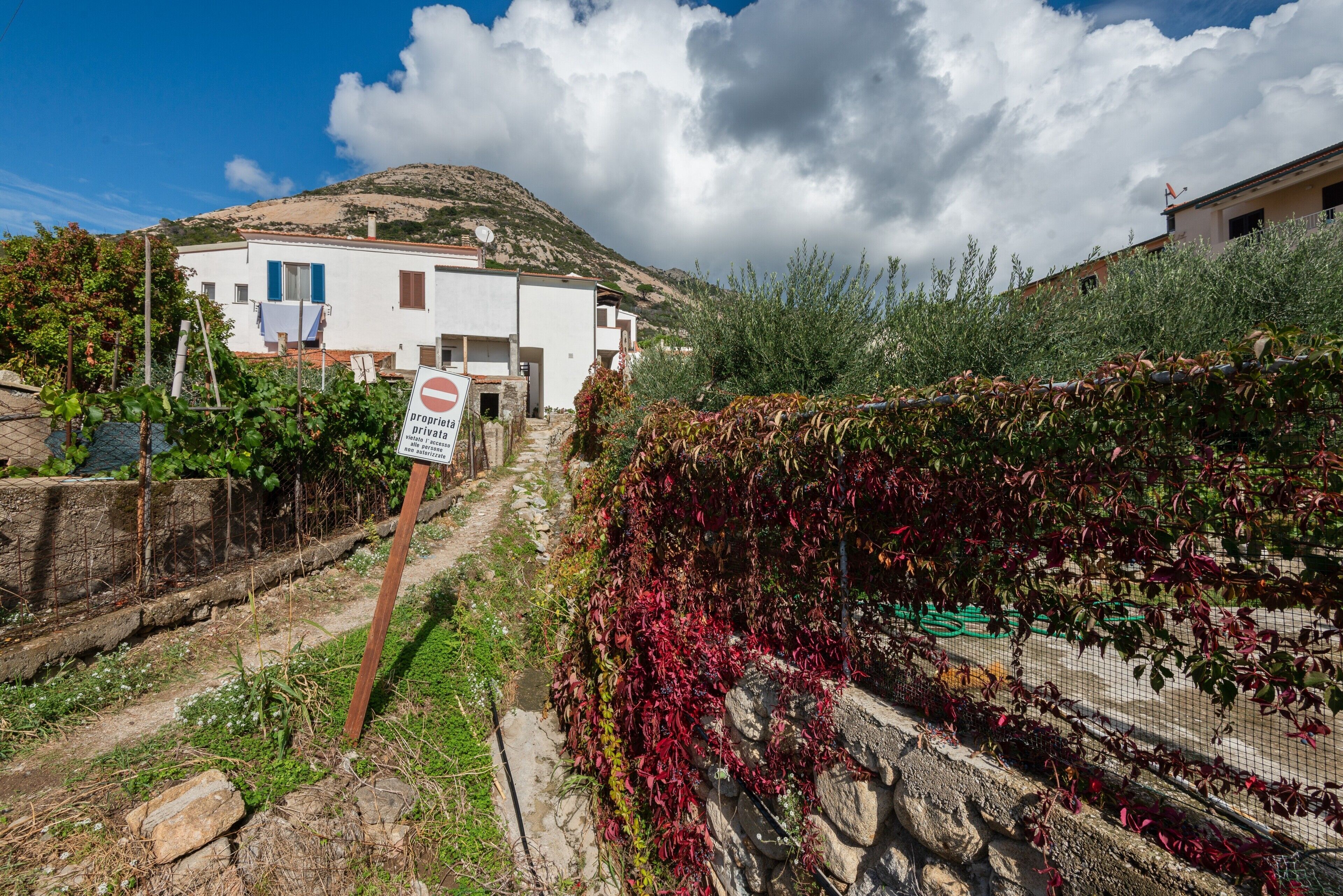Parco della struttura