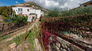 Un bâtiment blanc avec une pancarte indiquant qu’il s’agit d’une propriété privée, un mur de pierre orné de feuillage rouge et un ciel dégagé.