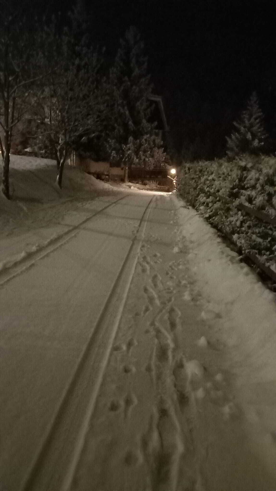 Sentiero innevato con impronte che conducono verso una zona illuminata, circondato da alberi e cespugli.