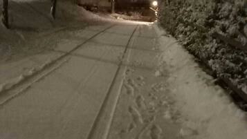 Sentiero innevato con impronte che conducono verso una zona illuminata, circondato da alberi e cespugli.