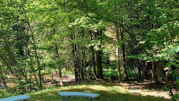 Un terrain de camping boisé, équipé de tables de pique-nique et d’un foyer.
