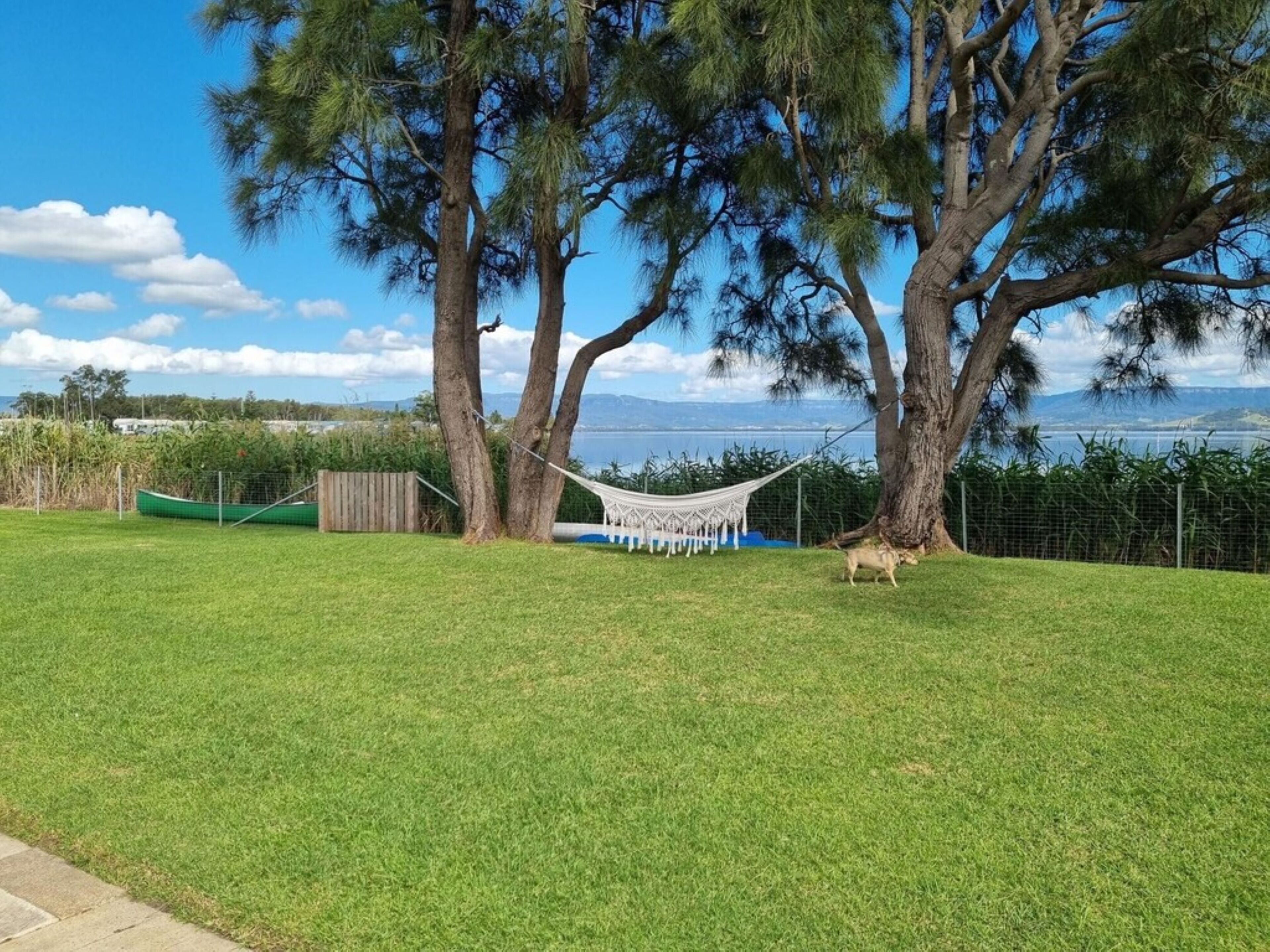 10 Best PetFriendly Rentals Near Lake Illawarra, Australia Updated