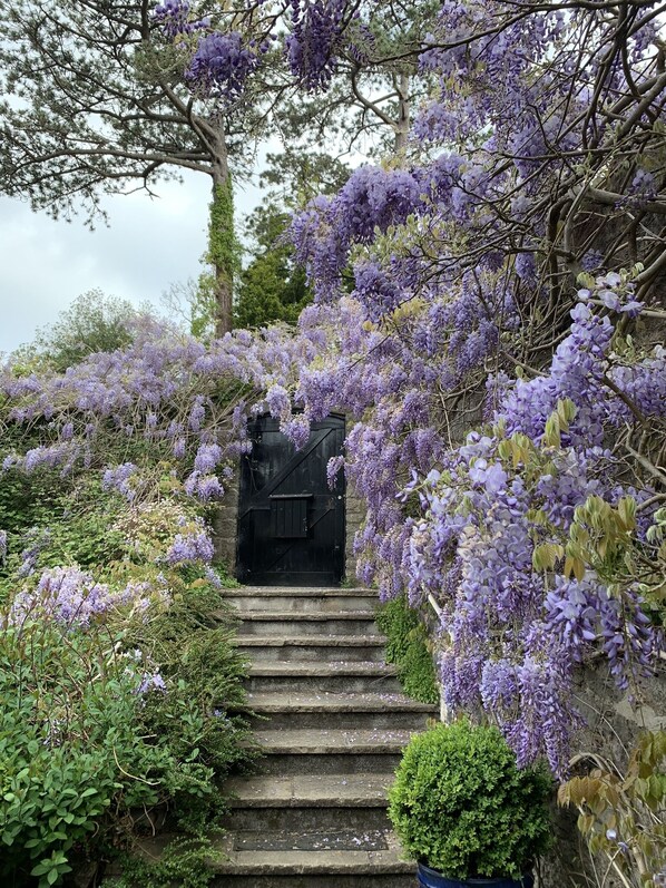 Property grounds - Seafacing villa in Torquay with 2 suites and a heated swimming pool (Torquay)