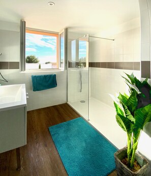 Shower, hair dryer, towels, soap