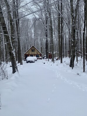 Exterior - Arrowhead Lake Chalet - Walk to Pool (Pocono Lake)