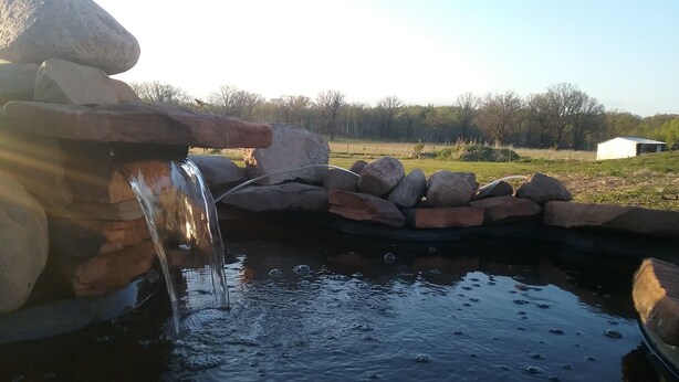 A small pond with a waterfall, surrounded by rocks and a grassy area with trees in the background. - Monthly deals ,  #4  at Beach Mirage Suites  (Brook Park)