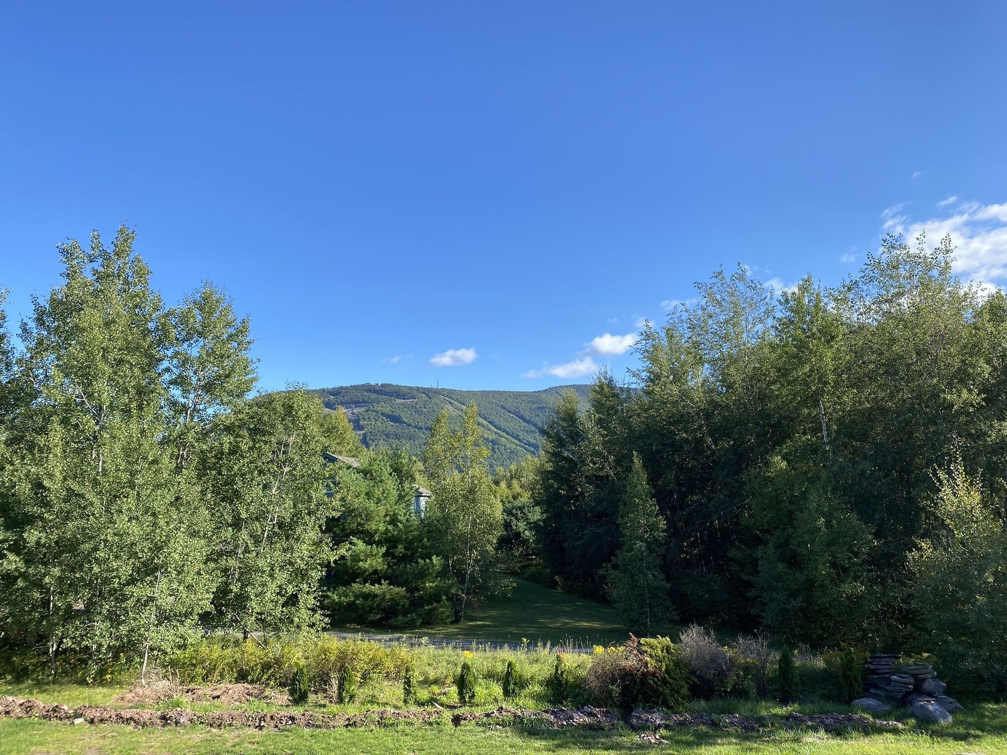 Un paisaje sereno con cielo despejado, vegetación exuberante y una cadena montañosa distante.