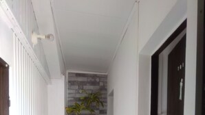 Un couloir avec un sol carrelé, une plante en pot, un balai et une porte.
