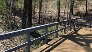 A wooden boardwalk with railings, surrounded by trees and forested area. - Lake George Guesthouse (Lake George)