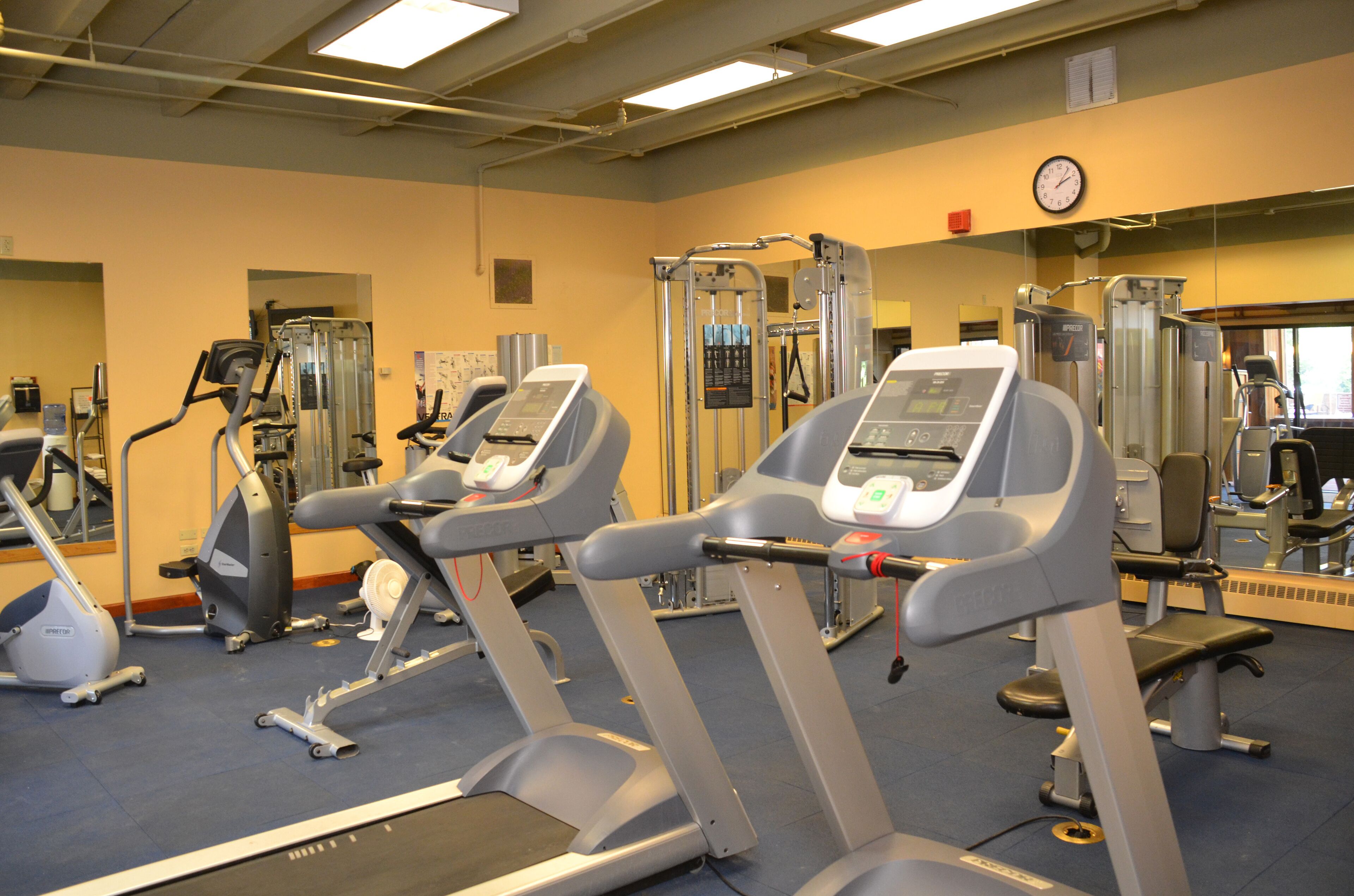 A gym with treadmills, elliptical machines, and weight machines.