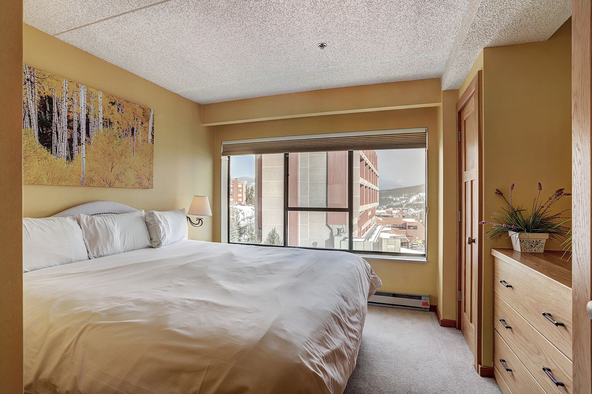 2 habitaciones, internet y ropa de cama 