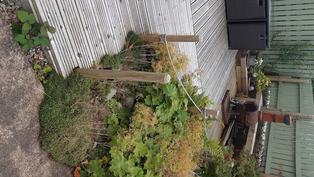 Un espace jardin agrémenté d’une terrasse en bois, de différentes plantes et d’un barbecue noir.