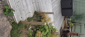 2 bedroom cottage in the centre of Brodick.