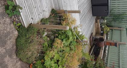 2 bedroom cottage in the centre of Brodick.