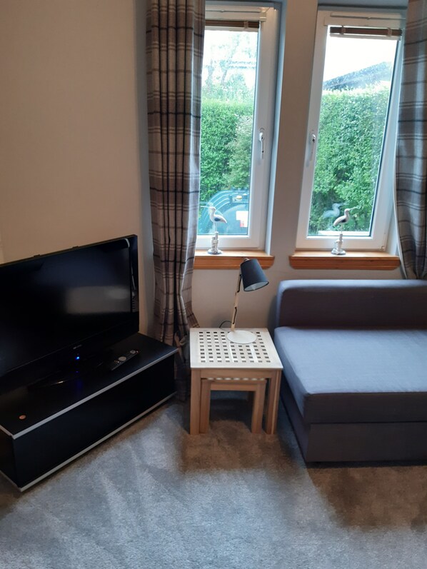 Flat-screen TV, books