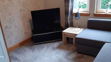 Télévision à écran plat, livres