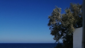 Une terrasse avec vue sur la mer, une balustrade blanche et un arbre.