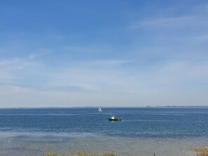 Beach nearby - Ruisweg 101 by Interhome (Wemeldinge)