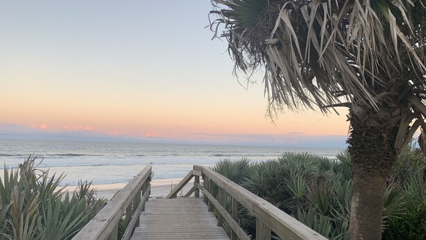 A wooden boardwalk leading to a beach with palm trees and ocean views.