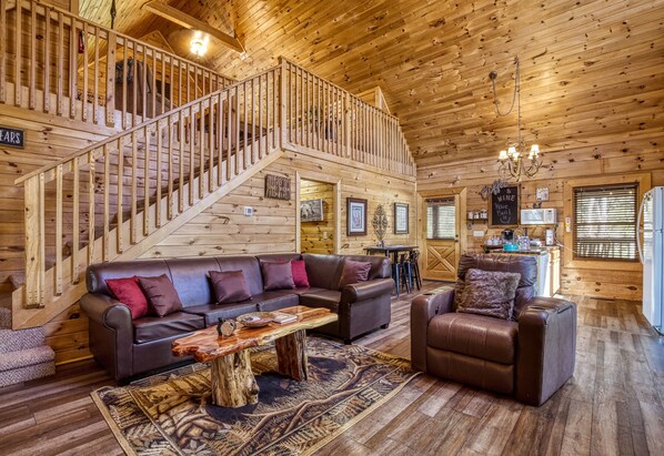 Télévision, cheminée, jeux vidéo