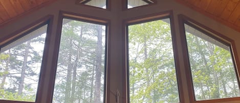 A room with a sloped ceiling, a ceiling fan, and multiple windows offering a view of a forest.