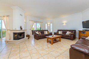 Télévision à écran plat, cheminée, lecteur de DVD