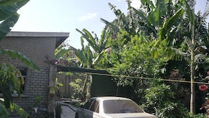 Unclassified image, 3 of 33, button - In-Africa Stay (Arusha)