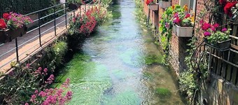 Ruhiges & komfortables Haus - 4 Personen - Veules-les-Roses - Strandnähe, Garten