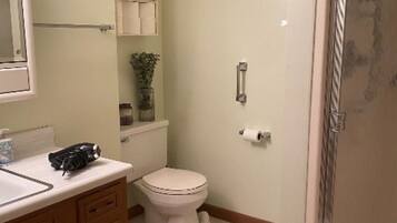 Un bagno con il water, un lavandino e una doccia.