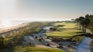 Um campo de golfe com praia de areia e palmeiras.