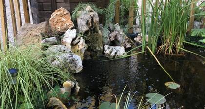 A corner of paradise in the heart of the Alpilles with SPA