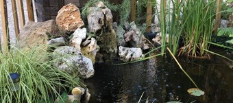 A corner of paradise in the heart of the Alpilles with SPA