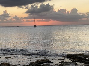 Beach - Beautiful spacious home 2 blocks from the ocean in the heart of downtown Cozumel (Cozumel)