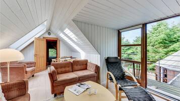 Télévision, cheminée, lecteur de DVD