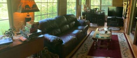 Smart TV, fireplace, DVD player, books