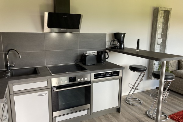 KĂŒhlschrank, Mikrowelle, Ofen, Herdplatte