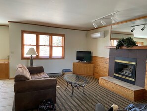 Smart TV, fireplace, DVD player, books