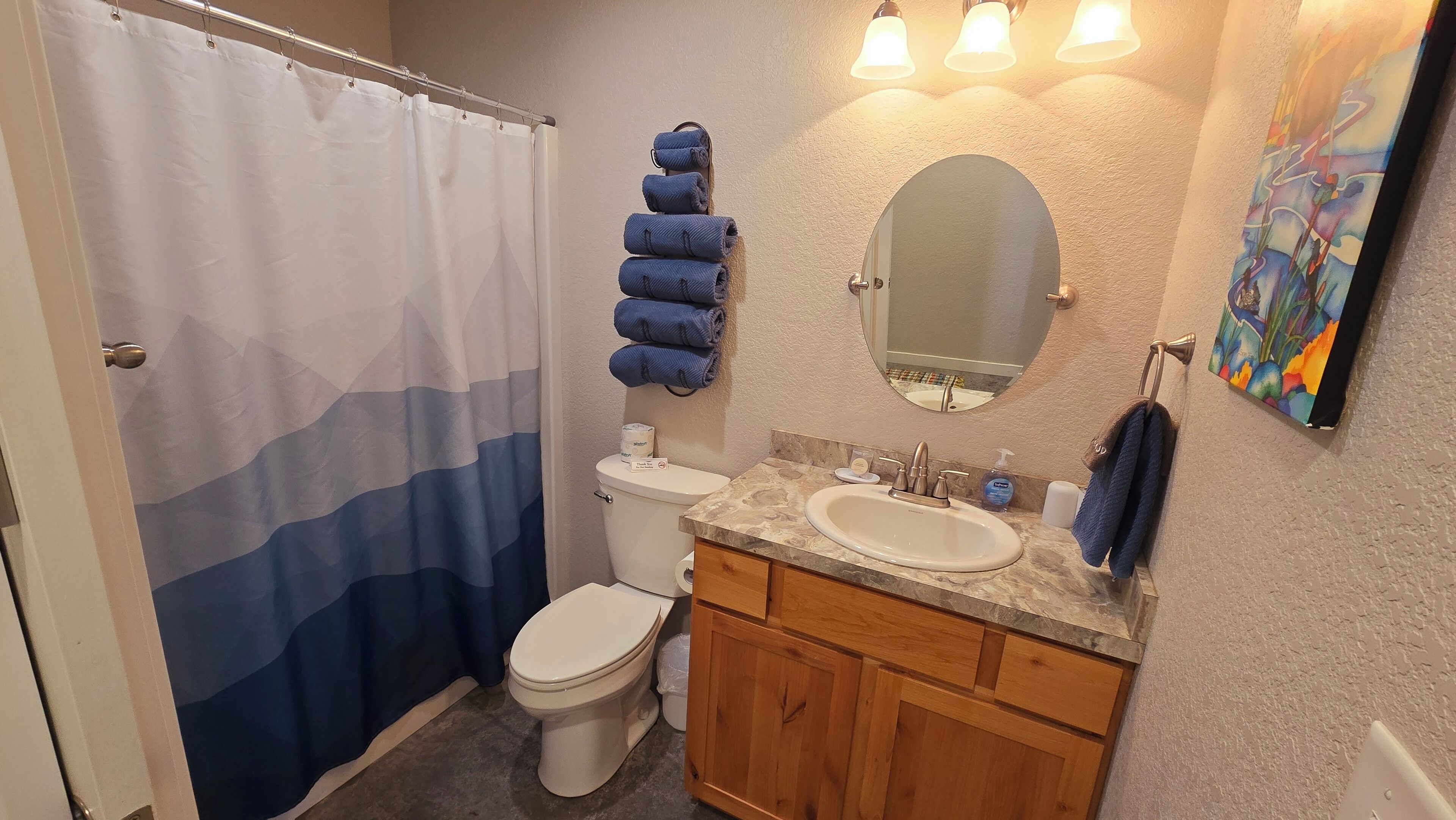 A bathroom with a shower curtain, a toilet, a sink, a mirror, and a towel rack.