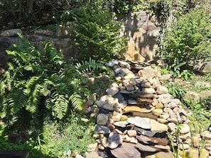 A natural rock formation with a small stream, surrounded by dense ferns and various plants. - Stay Together! Mini farm escape, sleeps 10, Hot tub, covered porches (Pembroke)