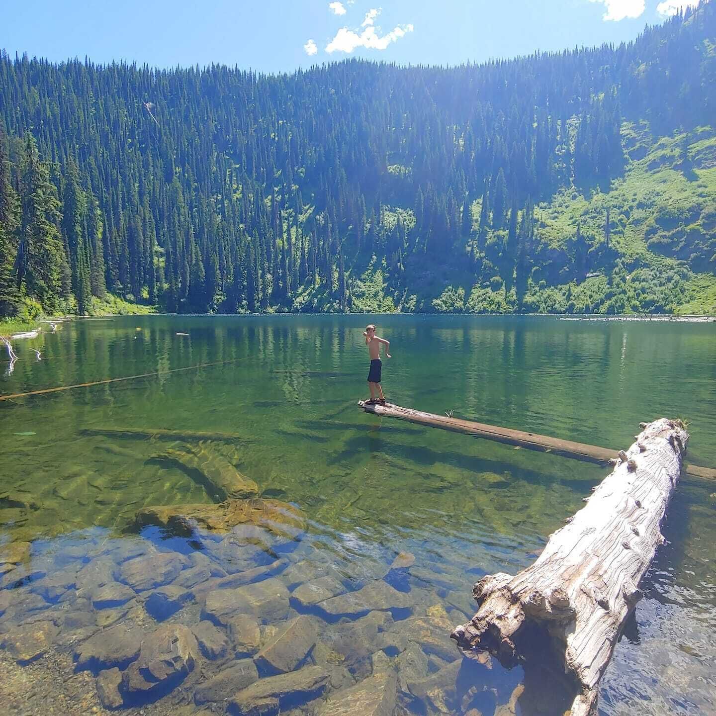 A person standing on a log in a clear lake surrounded by dense forest.